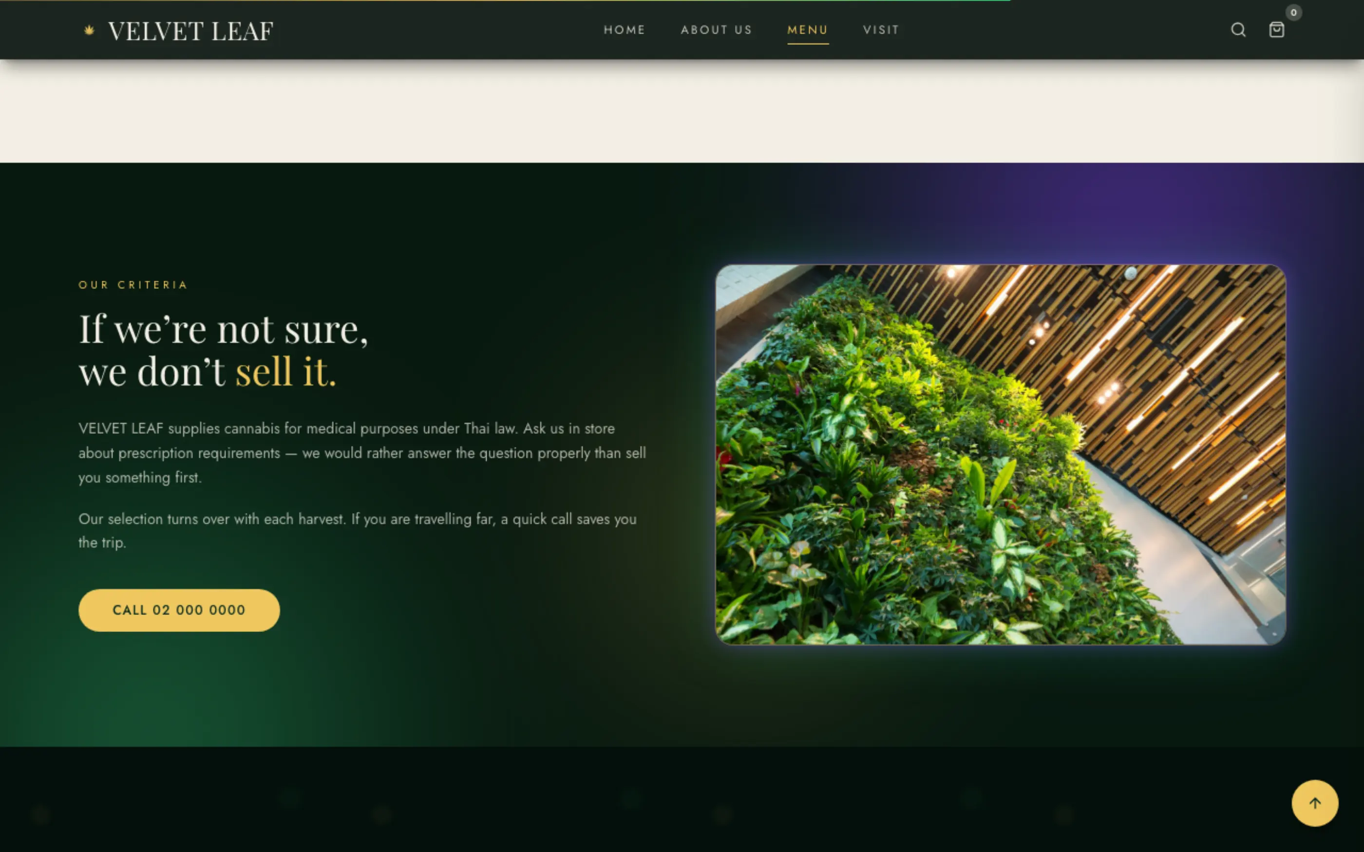 ช่วงล่างของหน้า — velvet-leaf